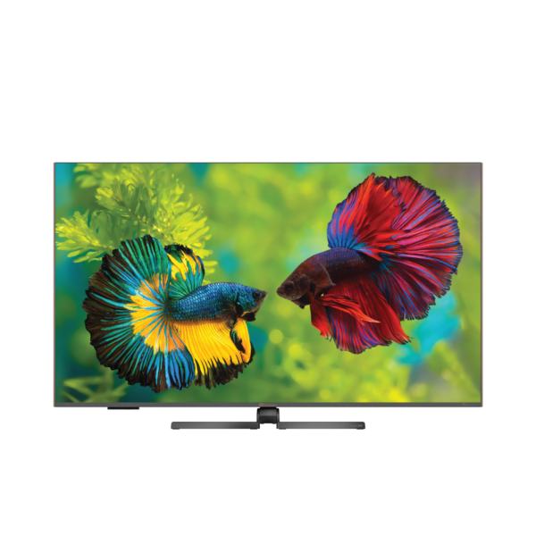 17 Delta 65" QLED